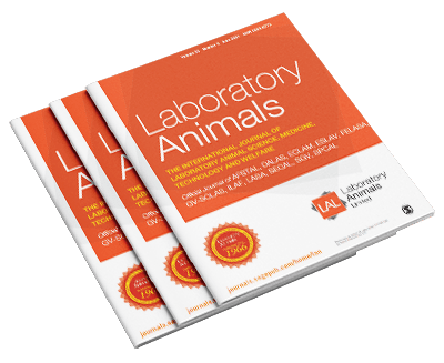 GV-SOLAS – Cover Magazin